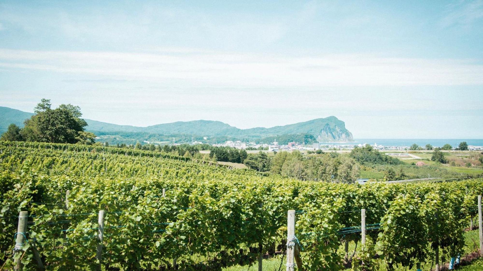 Hotel Yoichi Vineyard Glamping Exteriér fotografie